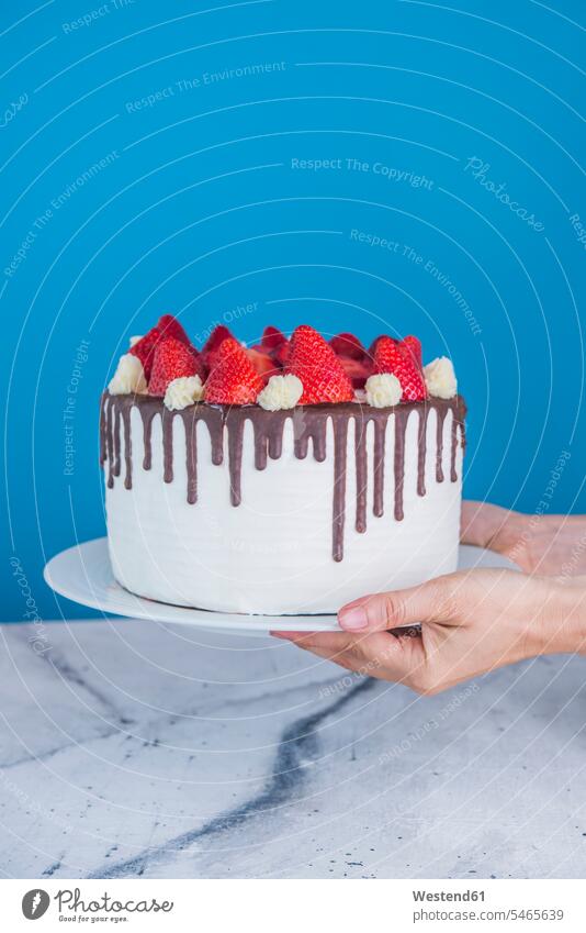 Hands holding cake with icing, chocolate and strawberries indoors indoor shot indoor shots interior interior view Interiors day daylight shot daylight shots