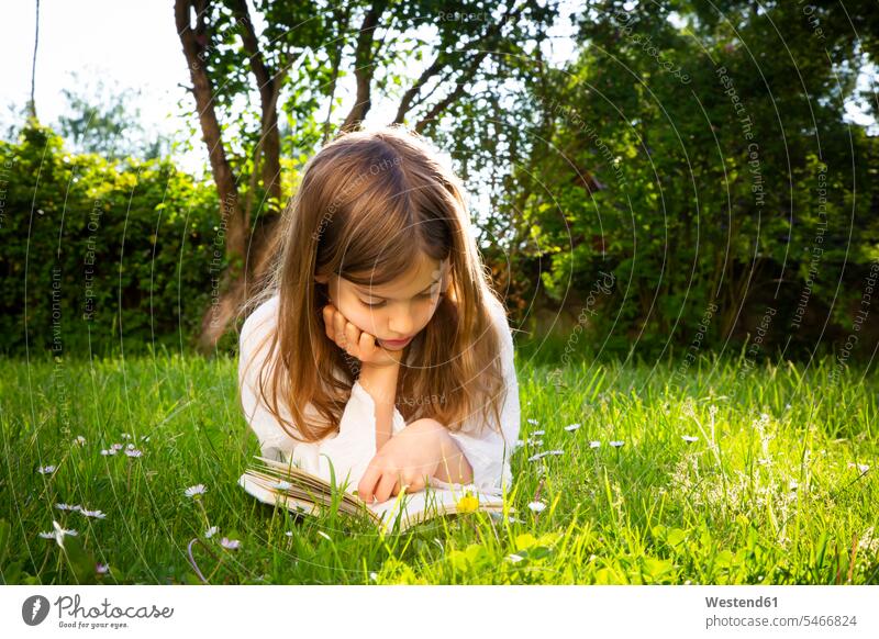 Girl lying on a meadow reading a book human human being human beings humans person persons 1 one person only only one person children kid kids female females