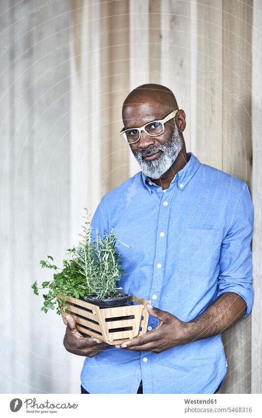 Portrait of confident mature businessman holding plants in office offices office room office rooms Businessman Business man Businessmen Business men portrait