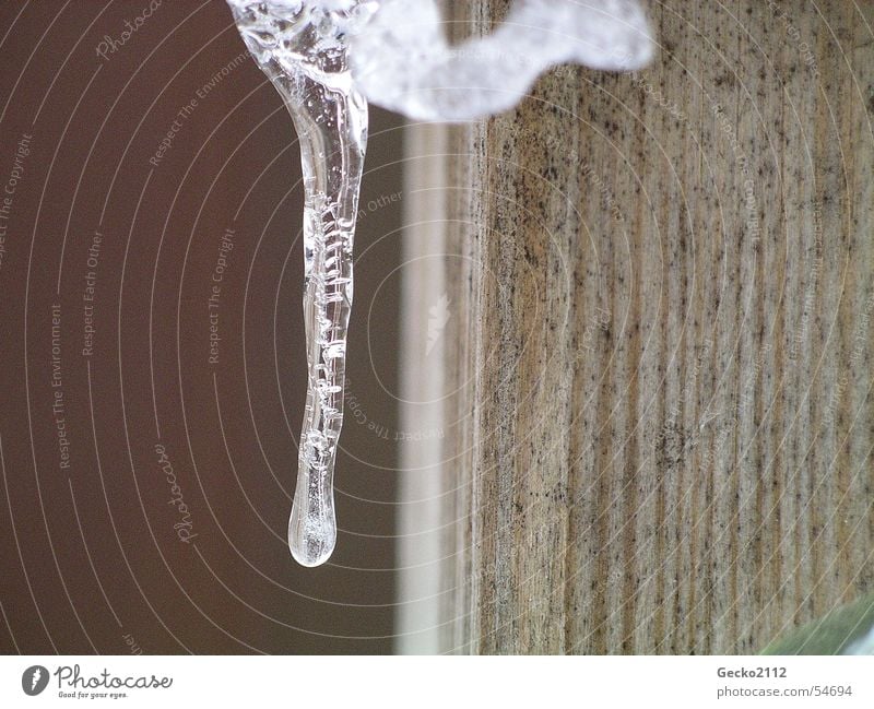 Icicle on fence Fence Winter Cold Wood Ice droplets Snow Drops of water