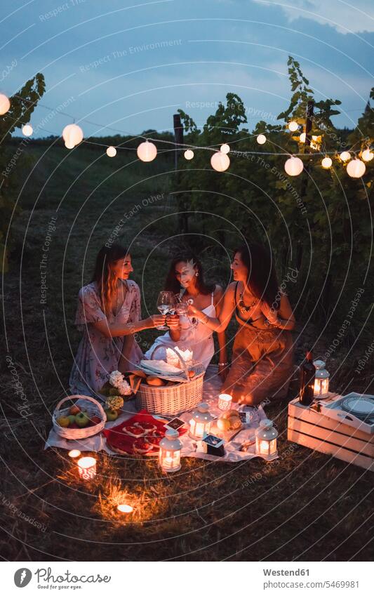 Friends having a picnic in a vineyard on summer night celebrating celebrate partying evening in the evening summer time summery summertime candle light