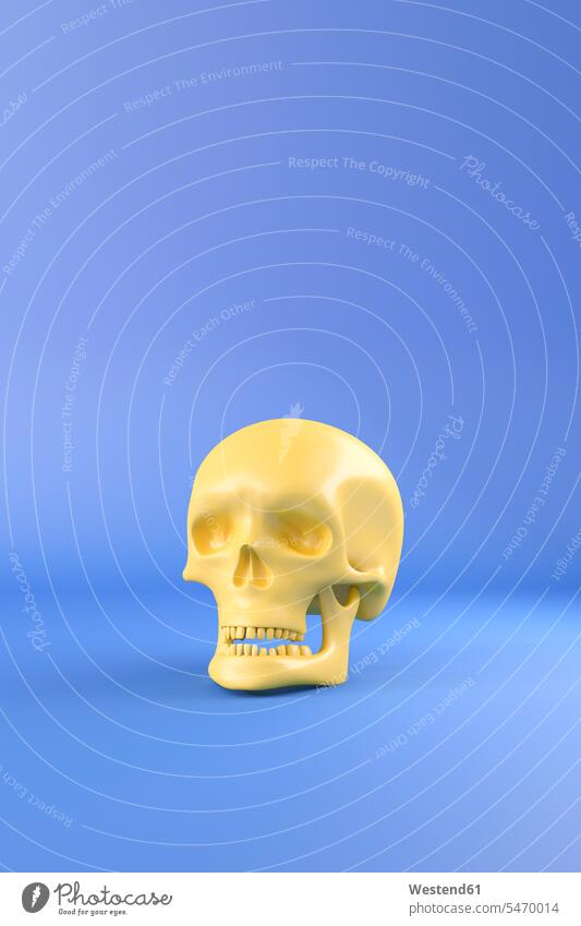 3D Rendering, Yellow skull against blue background yellow 3d Illustration 3D-Rendering one object 1 blue backgrounds skulls death's head impermanence