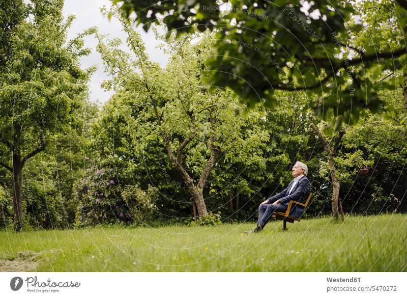 Senior businessman sitting on a chair in a rural garden business life business world business person businesspeople Business man Business men Businessmen