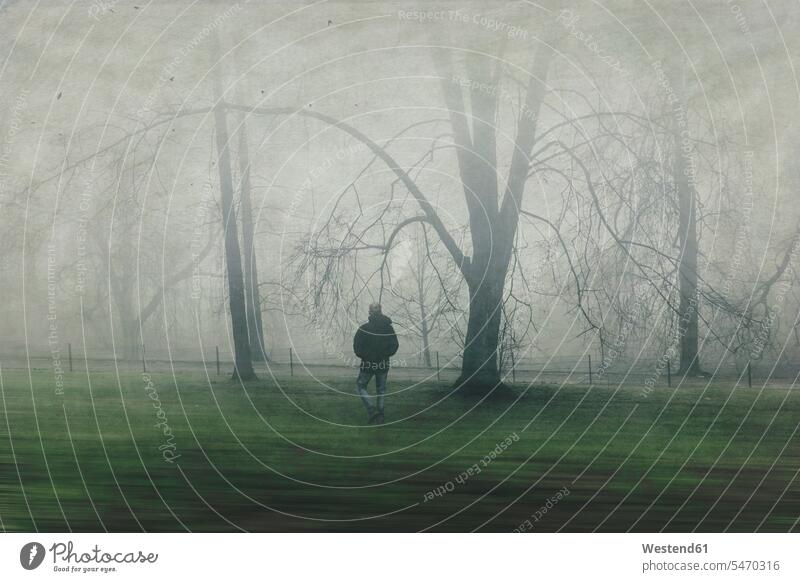Man walking on meadow with trees, fog human human being human beings humans person persons caucasian appearance caucasian ethnicity european 1 one person only