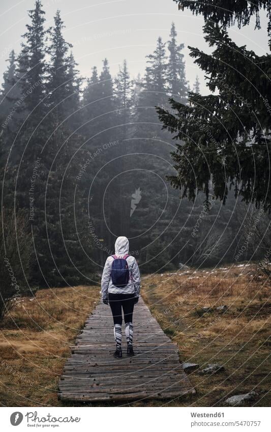 Bulgaria, Young yoman walking through the forest, rainy weather going hiking hike female hiker female wanderers on the move on the way on the go on the road