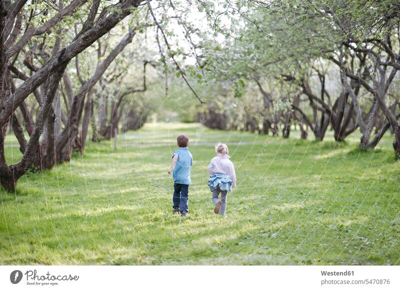 Back view of little boy and girl running side by side on a meadow free time leisure time community Move Movement moving location shot location shots outdoor