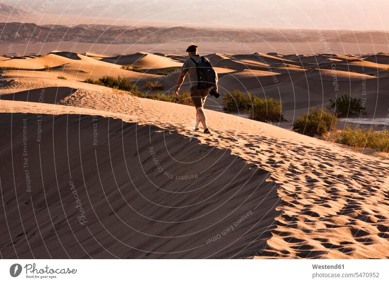 USA, Californien, Death Valley, Death Valley National Park, Mesquite Flat Sand Dunes, man walking on dune hiker wanderers hikers Adventure adventurous