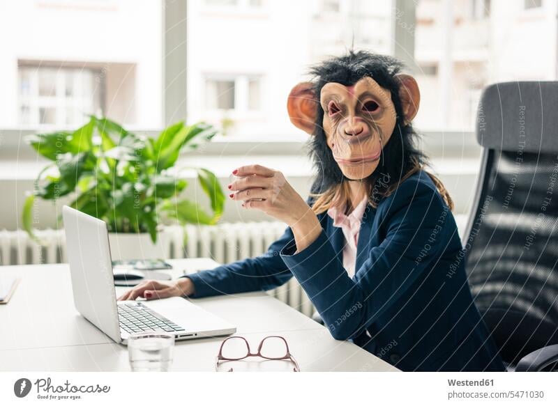 Businesswoman with chimpanzee mask working in office, using laptop using a laptop Using Laptops monkey mask At Work Laptop Computers laptops notebook offices