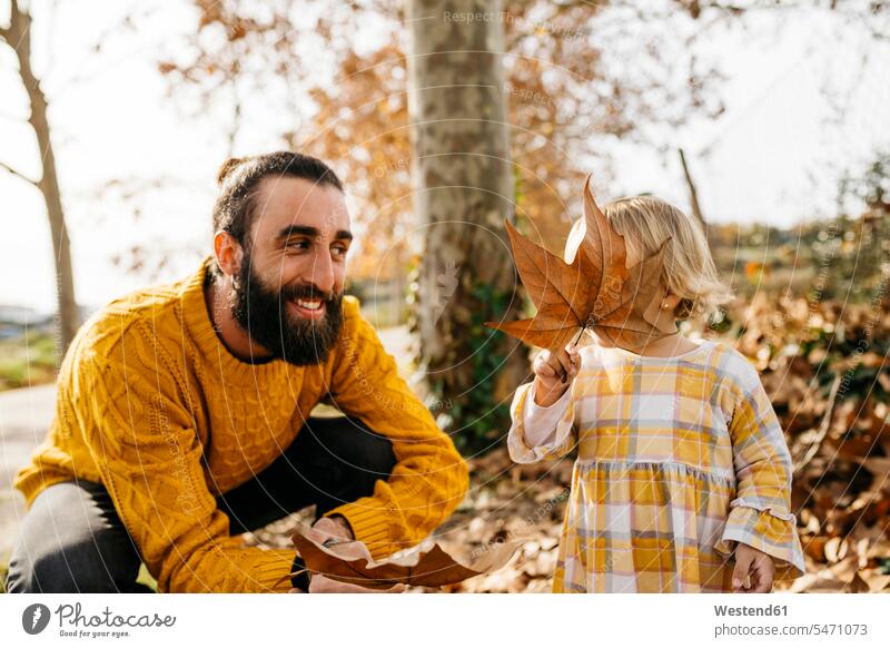 Father and daughter enjoying a morning day in the park in autumn, playing with autumn leaves father fathers daddy dads papa Leaf Leaves daughters Joy enjoyment