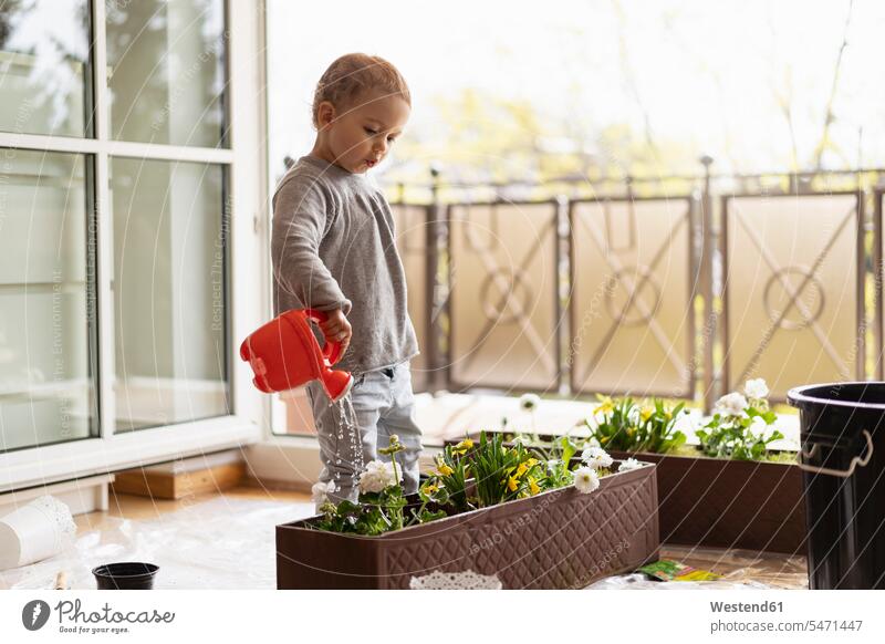 Cutle little girl watering flowers at home window windows planting copy space love of nature childhood flower box flower boxes natural world mindfulness aware