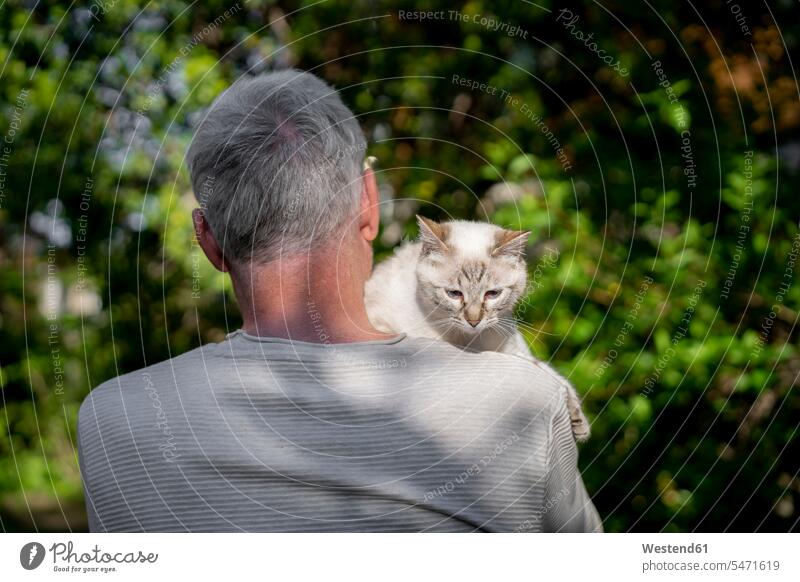 Rear view of senior man holding his cat in garden cuddle snuggle snuggling relax relaxing relaxation closeness propinquity free time leisure time community