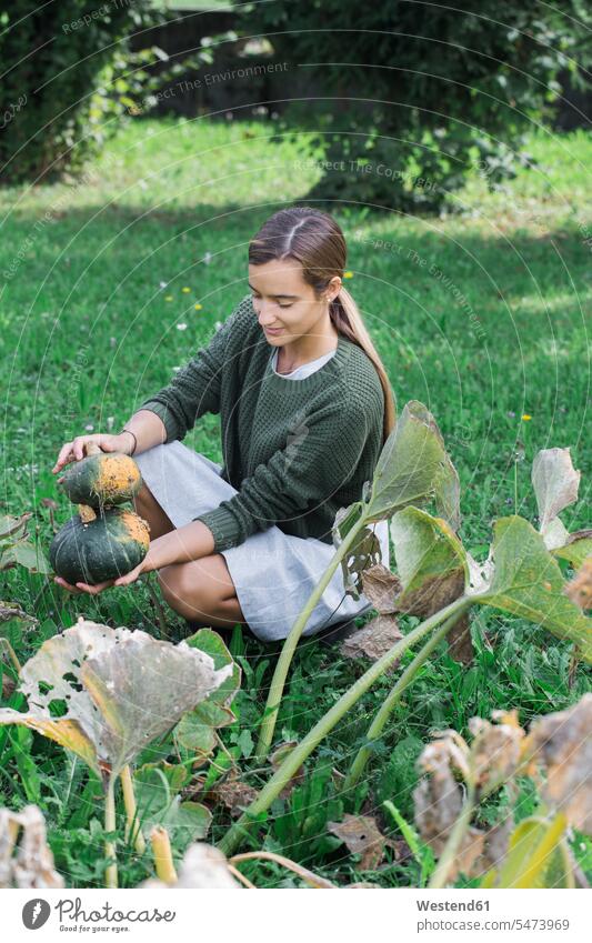 Young woman harvesting pumpkins in the garden Pumpkin Pumpkins Squash females women gardens domestic garden harvesttime Harvest Time harvests Vegetable