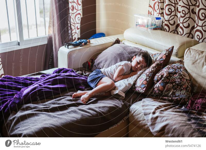 Little boy sleeping on bed couch in the morning human human being human beings humans person persons caucasian appearance caucasian ethnicity european 1