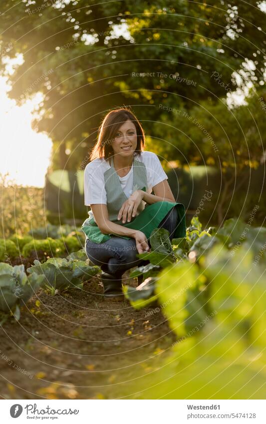 Woman working in her vegetable garden gardeners shoes boots Gumboot Gumboots Rubber Boot rubber boots wellies Wellington Boots wellingtons At Work harvesting