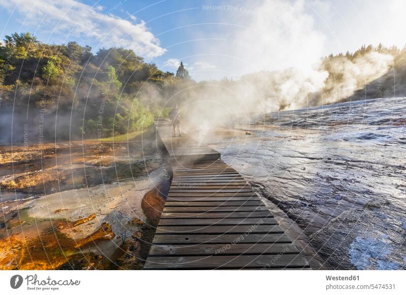 Tourist on wooden boardwalk, Emerald Terrace, Orakei Korako Geothermal Park, Taupo Volcanic Zone, North Island, New Zealand human human being human beings