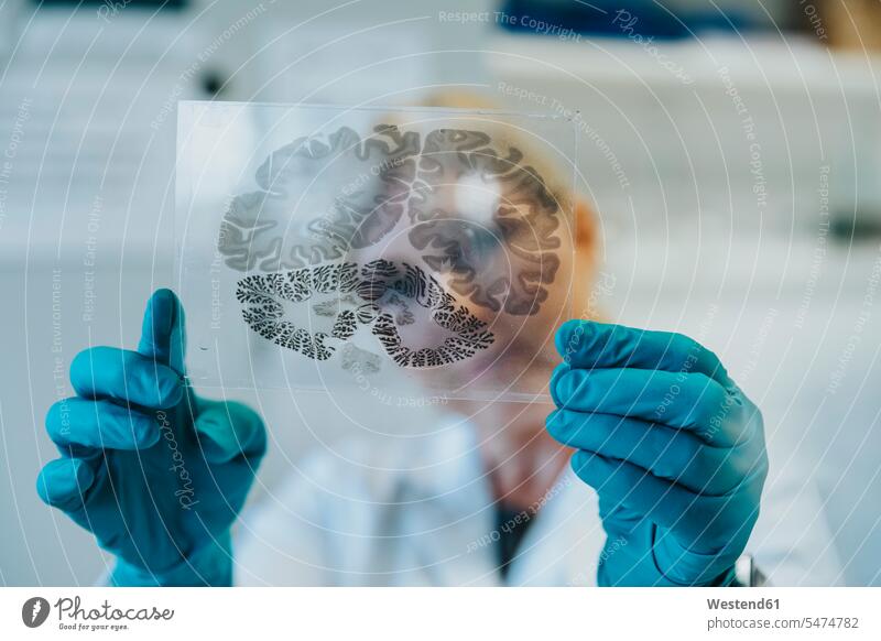 Scientist holding human brain microscope slide while standing at laboratory color image colour image indoors indoor shot indoor shots interior interior view