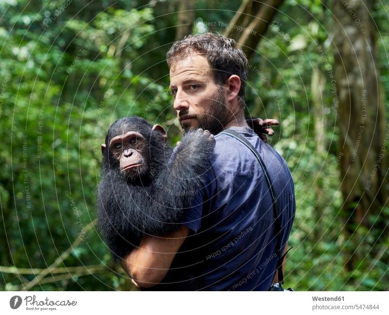 Cameroon, Pongo-Songo, Man carrying Chimpanzee (Pan troglodytes) in forest Central Africa outdoors location shots outdoor shot outdoor shots day daylight shot
