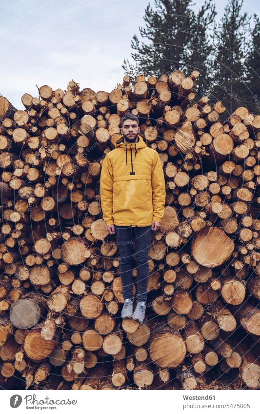 Young man standing on a stck of wood, giving the illusion of hovering balancing balance imagination Tree Trunk Tree Trunks levitation log pile logpile