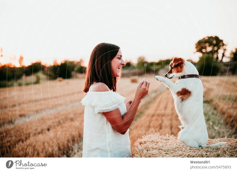 Woman playing with dog on straw bale during sunset human human being human beings humans person persons adult grown-up grown-ups grownup grownups mid adult