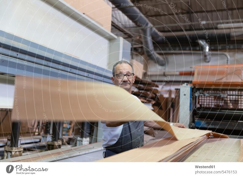 Man using wood laminating machine while standing in factory color image colour image indoors indoor shot indoor shots interior interior view Interiors workplace