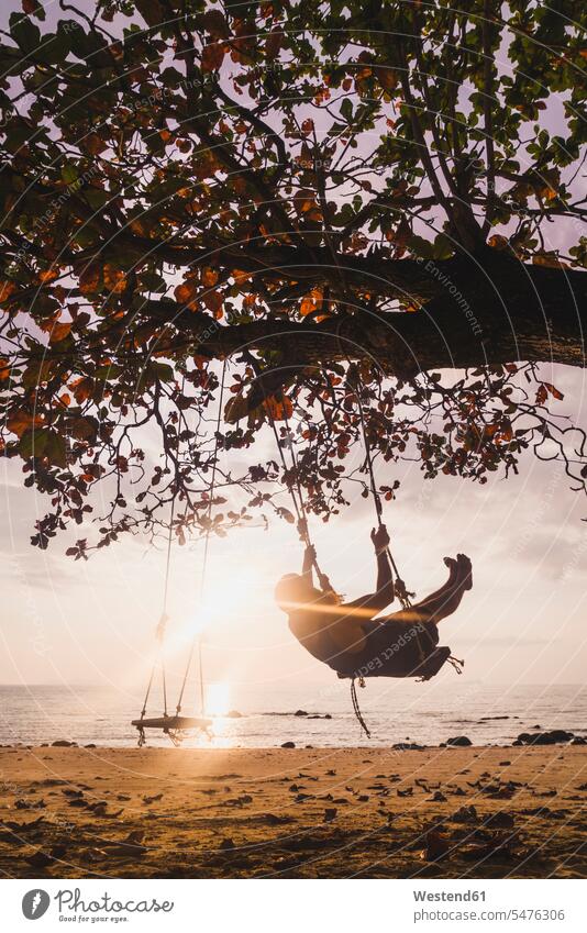 Thailand, Phi Phi Islands, Ko Phi Phi, man on tree swing on the beach in backlight Backlit back light back lighting back lit beaches Tree Trees men males