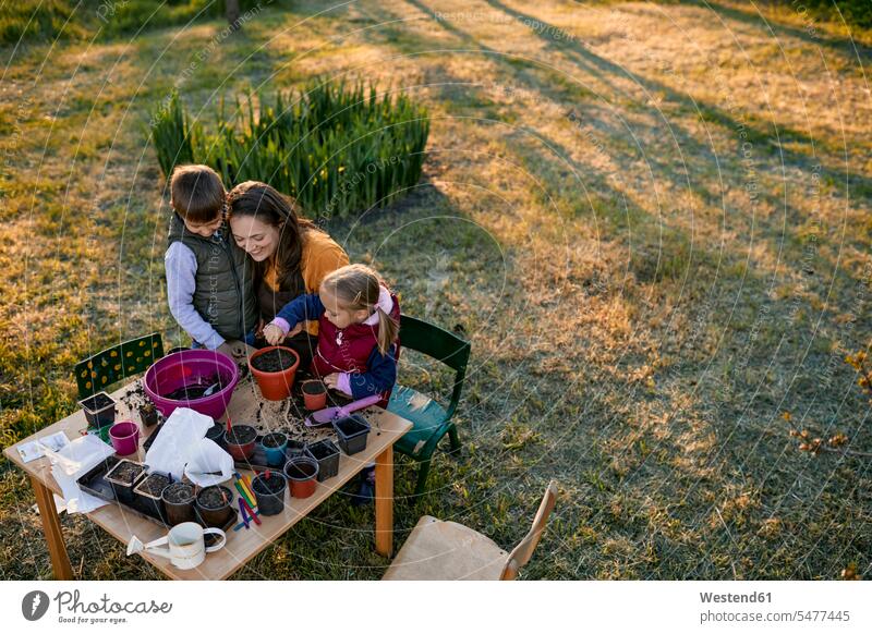 Mother with two kids gardening flower pot flower pots flowerpots Tables learn smile seasons spring season Spring Time springtime delight enjoyment Pleasant