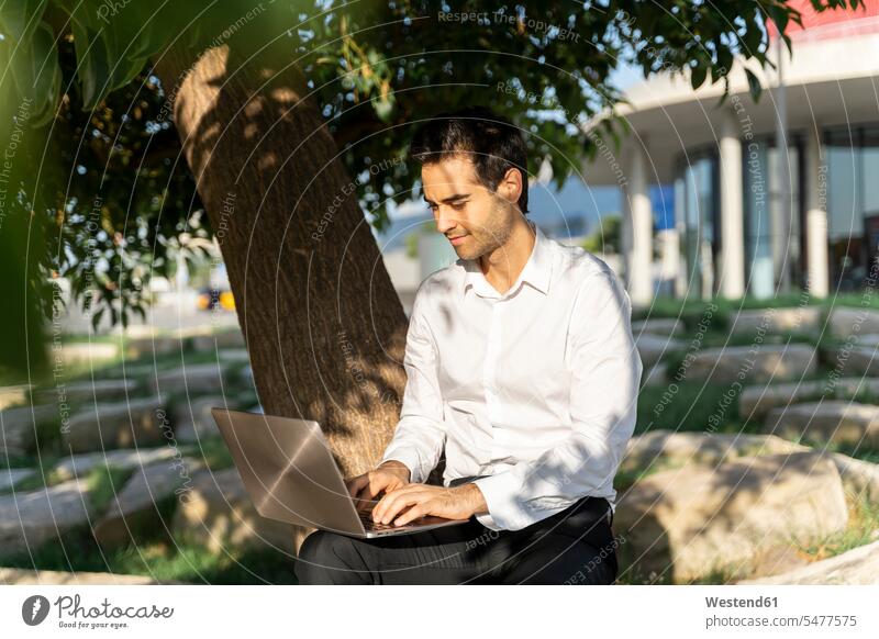 Businessman working over laptop while sitting by tree in park color image colour image Spain outdoors location shots outdoor shot outdoor shots day