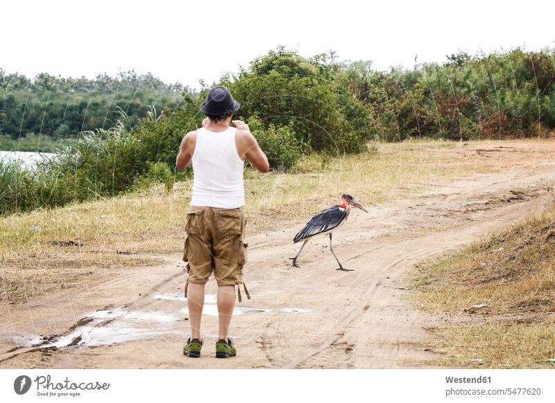 Uganda, Queen Elisabeth National Park, Touist taking pictures of a marabu caucasian caucasian ethnicity caucasian appearance european nature experience