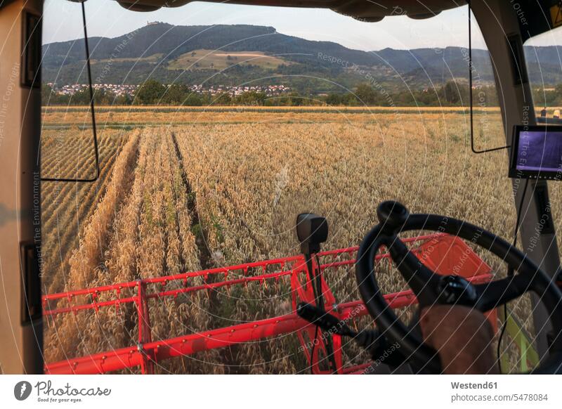 Organic farming, wheat field, harvest, combine harvester in the evening steering wheels steering-wheel steering-wheels farm labor farm labour farm work