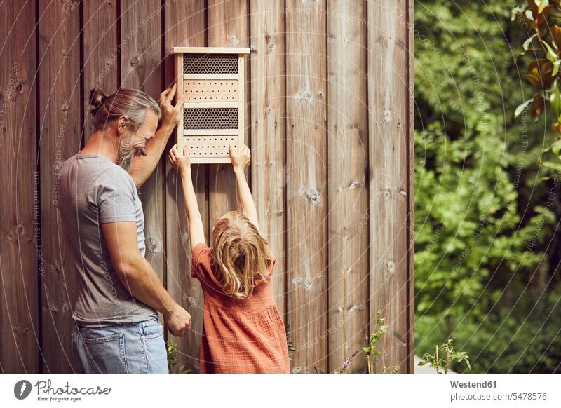 Father and daughter hanging insect hotel on wall color image colour image Germany leisure activity leisure activities free time leisure time casual clothing
