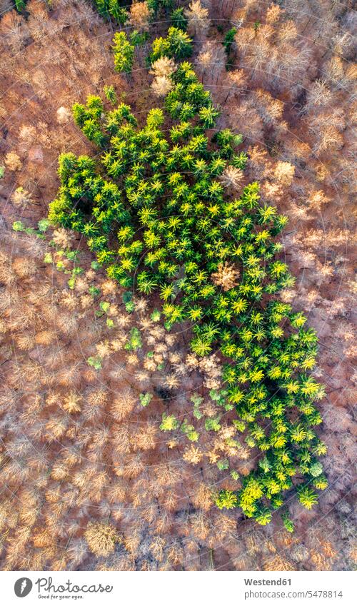 Germany, Baden Wurttemberg, Aerial view of Swabian Forest outdoors location shots outdoor shot outdoor shots day daylight shot daylight shots day shots daytime