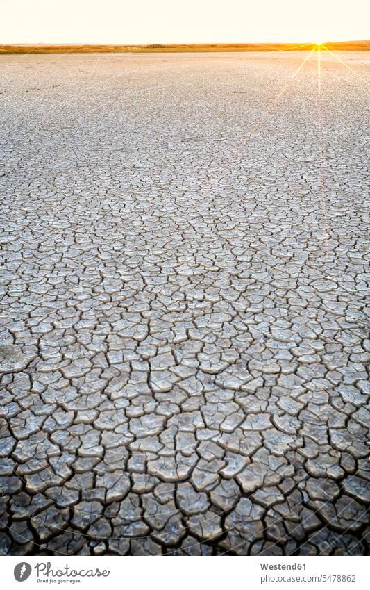 Spain, Reserva natural de Lagunas de Villafafila, dried lake bottom at sunrise natural world beauty in nature mysterious mystic mystically sunny Sunny Day