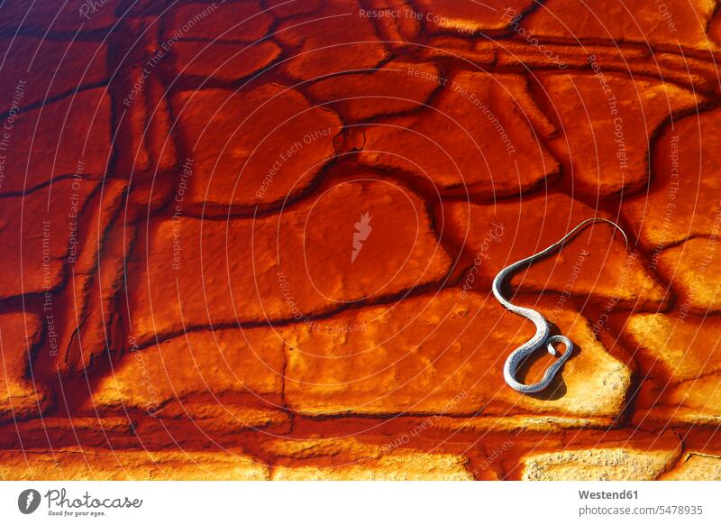 Snake of red cracked riverbed outdoors location shots outdoor shot outdoor shots day daylight shot daylight shots day shots daytime Rio Tinto Andalusia