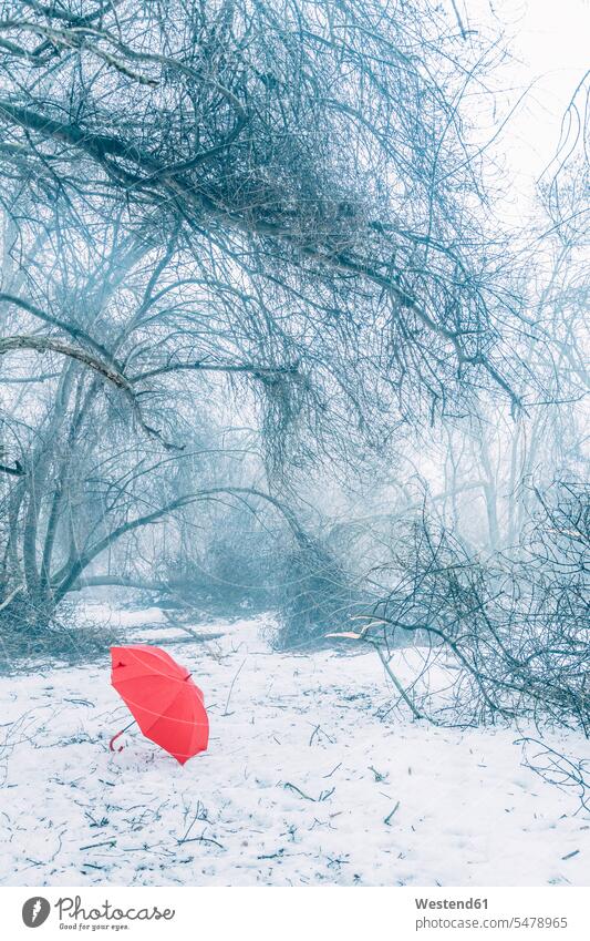 Red umbrella on snow covered land in forest color image colour image outdoors location shots outdoor shot outdoor shots day daylight shot daylight shots