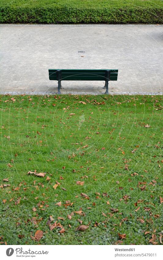 Germany, Bavaria, Munich, Empty park bench standing in front of hedge outdoors location shots outdoor shot outdoor shots day daylight shot daylight shots