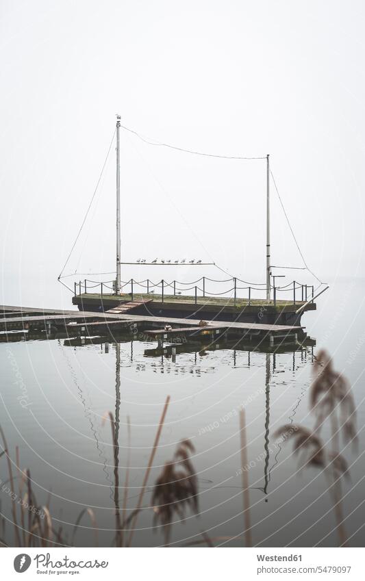 Germany, Brandenburg, Rangsdorfer See, pier and sailing boat seagull seagulls laridae beauty of nature beauty in nature idyllic quaint Tranquil Scene