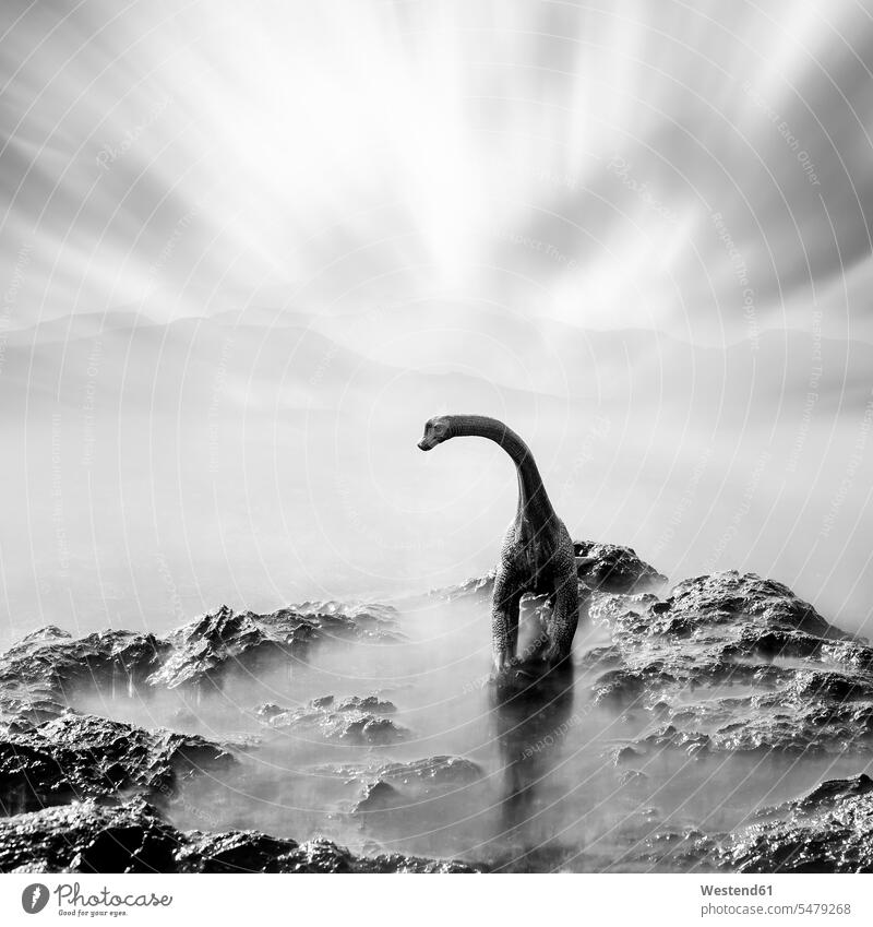 A toy dinosaur on a stone, black and white, long exposure extinct species gloomy murky Somber mysterious mystical majestic grand mystery Inexplicable