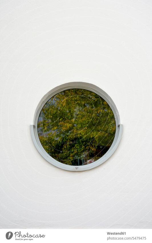 Tree reflecting in round window day daylight shot daylight shots day shots daytime outdoors location shots outdoor shot outdoor shots Trees Plant Plants shine