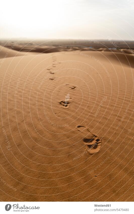 Footprints in sand dunes in Sahara Desert, Merzouga, Morocco Athmospheric Mood atmospheric Atmospheric Mood Idyllic mood moody Vibe trace traces track footmarks