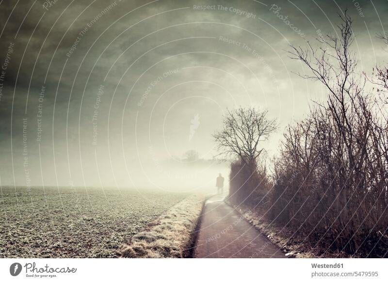 Gernany, North Rhine-Westphalia, Silhouette of a man standing on foggy country road caucasian caucasian ethnicity caucasian appearance european misty one person