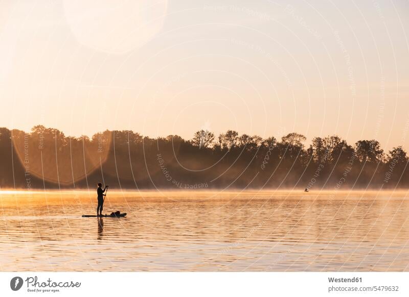 Woman standing on sup board in the morning on a lake, Germany human human being human beings humans person persons caucasian appearance caucasian ethnicity