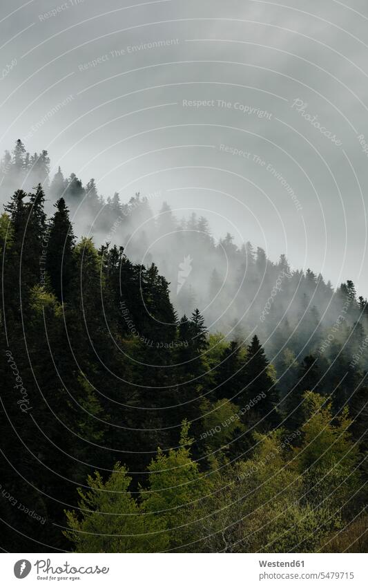 Abstract landscape of Midi-Pyrenees, France atmospheric Atmospheric Mood Idyllic mood moody Vibe landscapes scenery terrain mountain scenery Mountainous Region