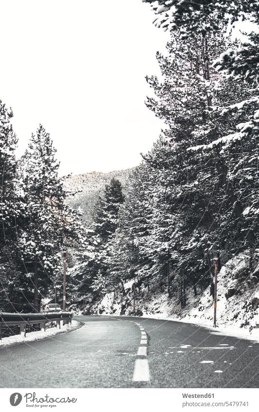 Andorra, mountain road in winter nobody remote Tree Trees copy space Absence Absent empty emptiness Lane Roadway Empty Road Empty Roads bend curving curved bent