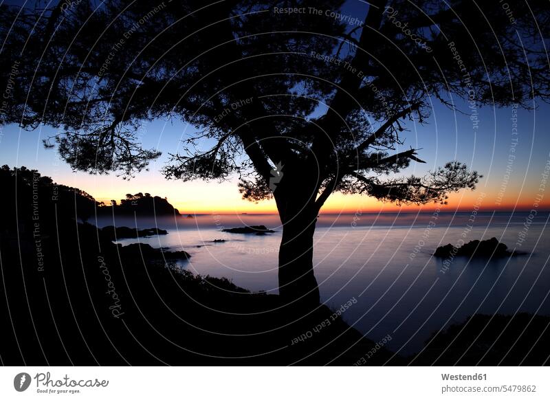 Spain, Cala S'Alguer, Costa Brava, sunset at the coast evening in the evening beauty of nature beauty in nature tranquility tranquillity Calmness silhouette