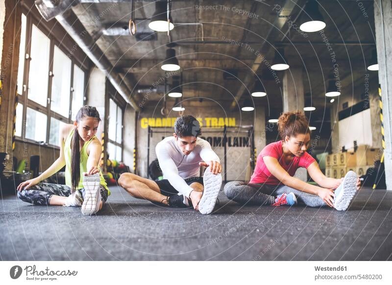 Three young people stretching in gym - a Royalty Free Stock Photo