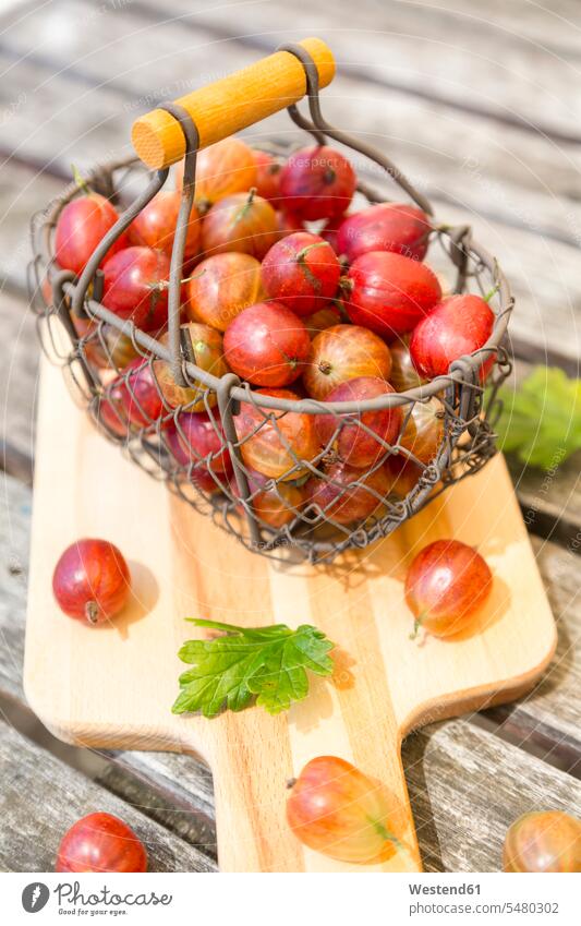 Wire basket of red gooseberries close-up close up closeups close ups close-ups wire basket Germany wooden wooden board wooden boards wooden panel wooden panels