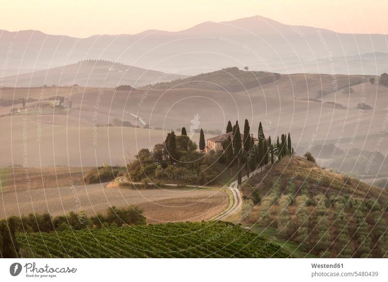 Italy, Tuscany, Val d'Orcia, villa near Pienza atmosphere atmospheric mood moody Atmospheric Mood Vibe Idyllic tranquility tranquillity Calmness day