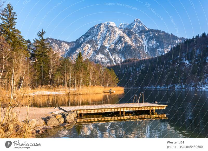 Germany, Bavaria, Allgaeu Alps, Schwansee in winter, evening mood beauty of nature beauty in nature jetty landing stage landing stages forest woods forests