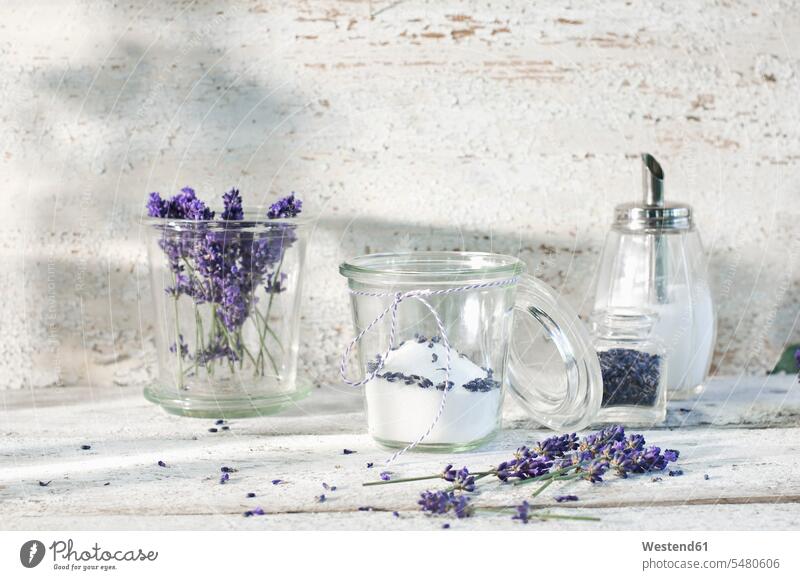 Glass of lavender sugar scent flavor fragrance flavour scents fragrances scenting aroma Lavandula angustifolia wall walls Flower Flowers Glasses blossom flowers