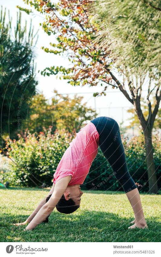 Young woman practicing yoga in the park, downward Facing Dog Position balance balanced females women Yoga Downward Facing Dog Position downward facing dog pose
